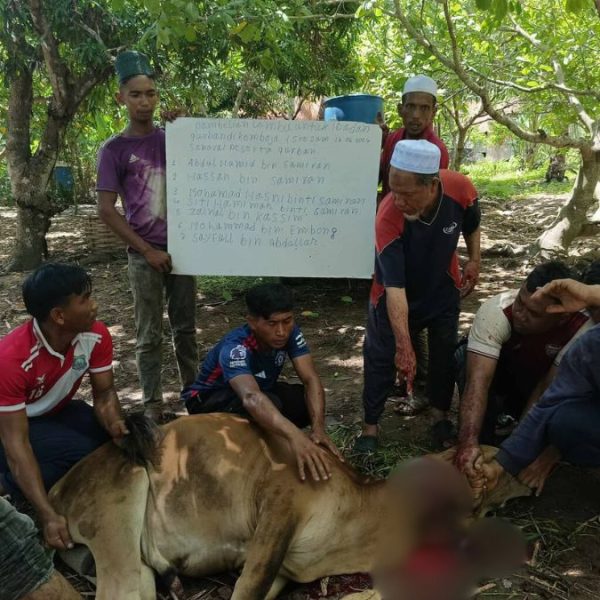 Qurban Lembu KEMBOJA 1 bahagian